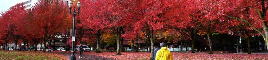 Jefferson neighborhood