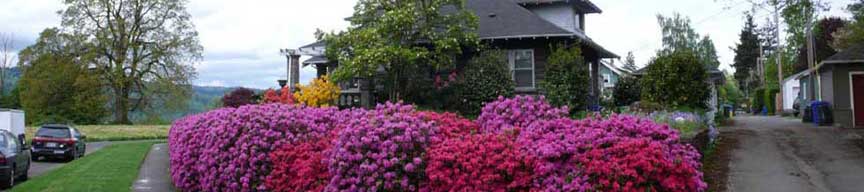 Jefferson neighborhood